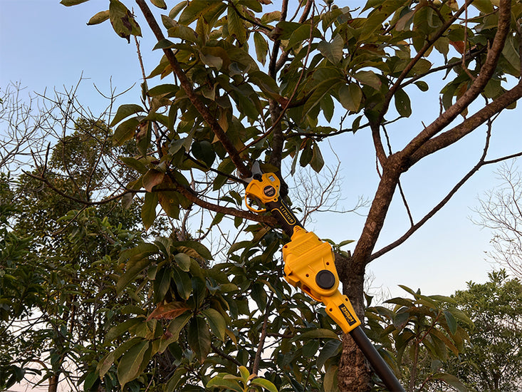 How Thick of a Branch Can an Electric Pole Saw Cut?