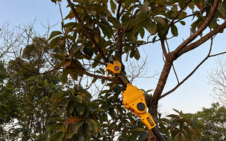 How Thick of a Branch Can an Electric Pole Saw Cut?