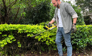 battery hedge trimmer