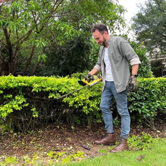 battery hedge trimmer