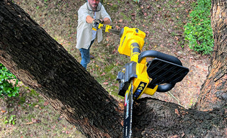 What Is an Electric Pole Saw Used for?