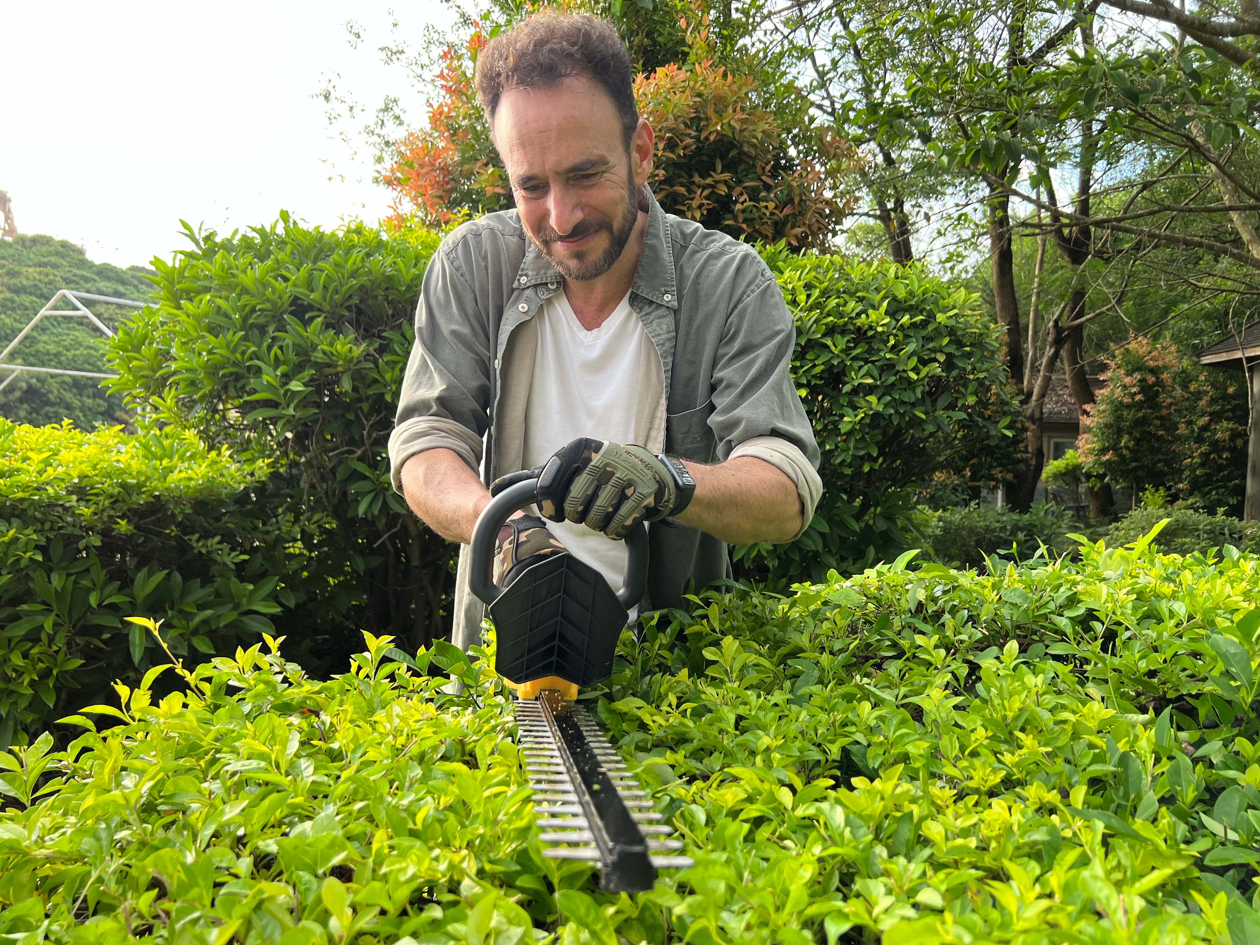 electric hedge trimmer